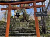Sanzen-in Temple, Kyoto: A Serene Escape Worth Exploring! 🌸🍵