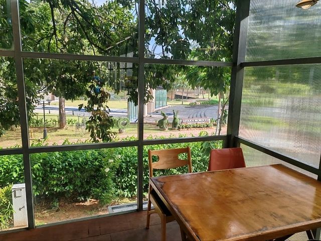 Glasshopper Cafe: A Glasshouse Escape in Kuala Lumpur