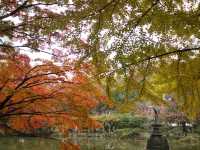 秋意盎然的都心秘境日比谷公園