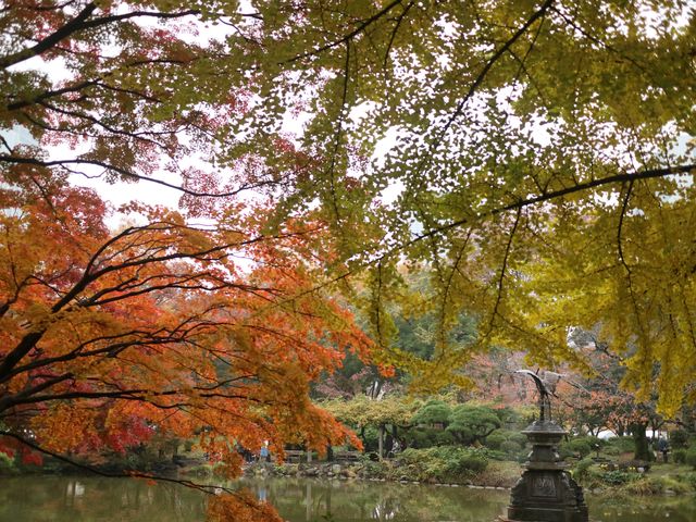 秋意盎然的都心秘境日比谷公園