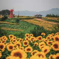 Gangju Village (강주마을): A Hidden Slice of Traditional Korea in South Jeolla