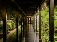 Shangri-La Rasa Sayang, Penang: My Perfect Escape! 🌴💚