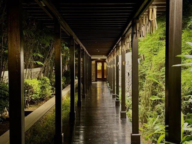 Shangri-La Rasa Sayang, Penang: My Perfect Escape! 🌴💚