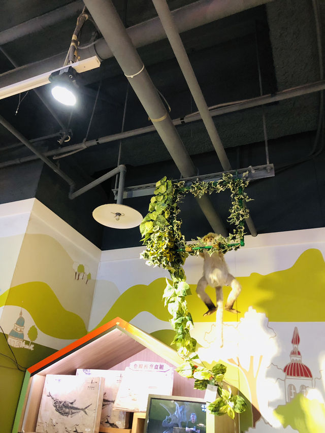 樂園中的精品店很多特別可愛的公仔🐯🦁🐻🐮