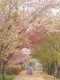 내가 사랑한 경주의 봄🌸❤️