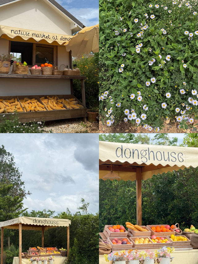 Dong House  คาเฟ่บนเนินเขาสูงชมวิวได้แบบ 360องศา Dong House  คาเฟ่บนเนินเขาสูงชมวิวได้แบบ 360องศา