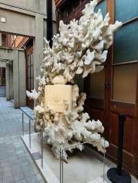 “Timeless Facades: West Nanjing’s Modern Heritage Walk”