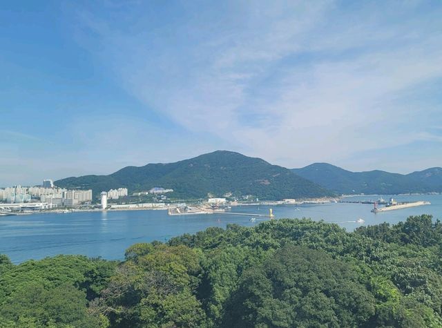 여수 오동도 산책