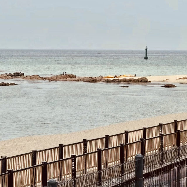 🌅🌊 *Jeongdongjin Summer Diary: Where the Sun Rises First in Korea!* 🚂☀️**  