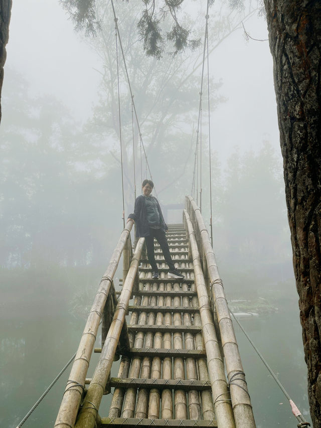 溪頭森林遊樂園