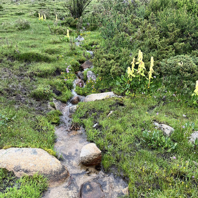 🌿 Wandering Through the Soul of Western Sichuan — 康定风景区