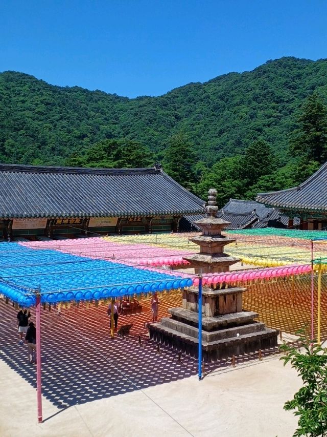 팔만대장경의 고장, 천년고찰 해인사
