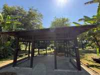 熊本水前寺江津湖公園：芭蕉園與俳句碑的靜謐時光