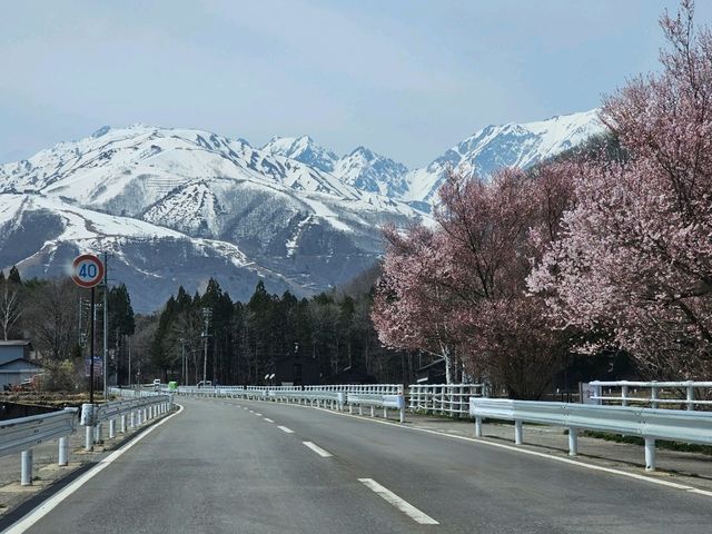 hakuba roadtrip