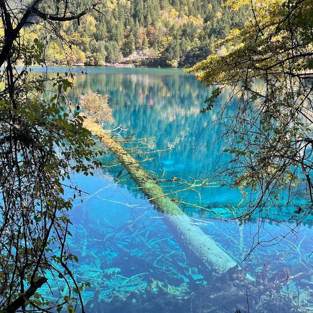 Jiuzhaigou Valley (Sichuan)