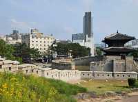 A relic from the Joseon Dynasty, Heungjinmun