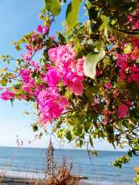 Itinerary for a meaningful 1-day trip to Vung Tau for you