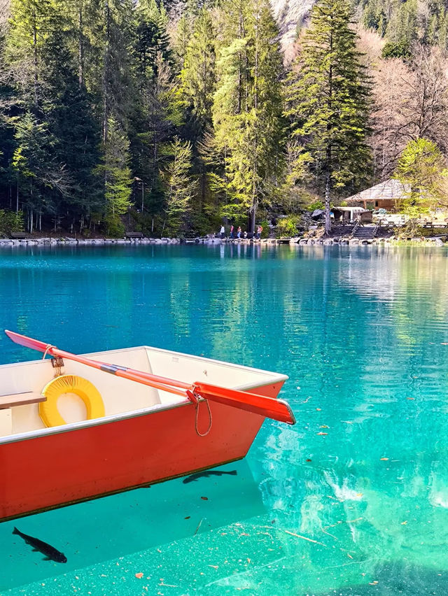 💙Blausee — A Blue Dream Hidden in the Swiss Forest