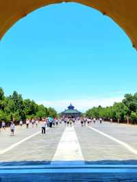 Heaven’s Walkway: Danbi Bridge