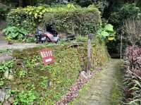 Longchuan Rock Was Like a Nature Playground with Cool Views