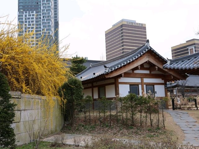 봄의 센트럴파크