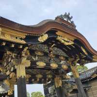 【京都🇯🇵】入った瞬間タイムスリップ🕰二条城