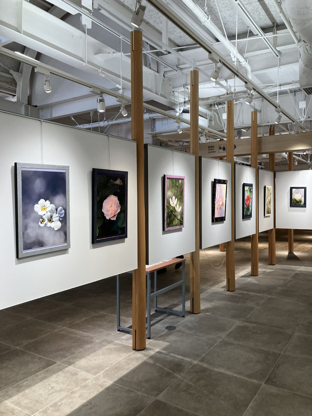 【東京・新宿区】🌺Flower museum🖼️〜新宿御苑〜 【東京・新宿区】🌺Flower museum🖼️〜新宿御苑〜