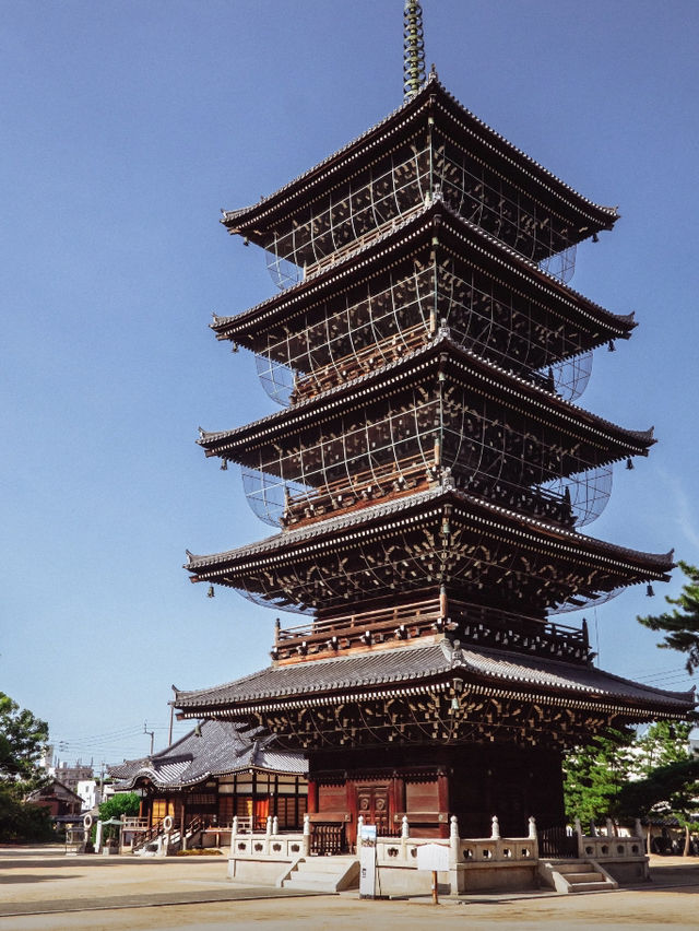 🇯🇵日本四國|古寺巡禮山林間的隱秘之地 🇯🇵日本四國|古寺巡禮山林間的隱秘之地