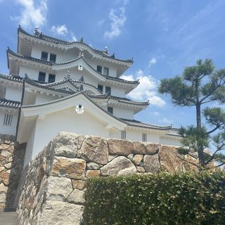 【Saitama/Gyoda】Oshi Castle, known as "The Floating Castle"