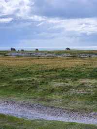 Penguin Paradise and Windy Wonders at Volunteer Point