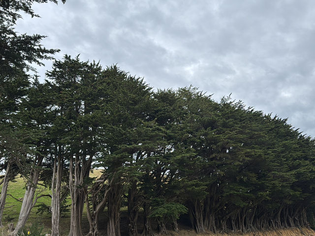 Wild walks; Seabirds & Star gazing Wild walks; Seabirds & Star gazing