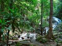 บ้านแม่กำปอง วิถีชีวิตที่ต้องไปสัมผัส🌿