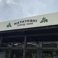 🏝【2泊3日で沖縄本島縦断旅！海・島・コーヒーを満喫】 