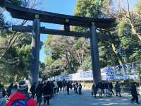 在城市森林中尋求心靈平靜：東京明治神宮遊記