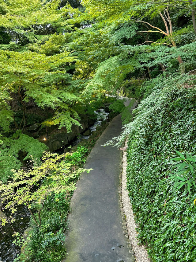 🇯🇵日本✈️名古屋池泉式庭園德川園