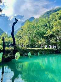 Xiaoqikong: The Scenic Wonder Winning Foreign Hearts