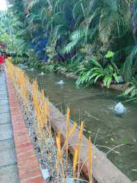 Discover the Beauty of Garden Park MBKS, Kuching’s Lush Green Escape