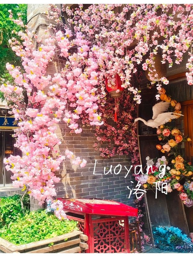 เที่ยวลั่วหยาง 2 วัน 1 คืน