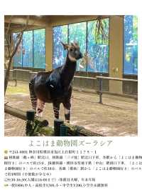 夏休みまだ間に合う！首都圏から日帰りで行ける動物園・水族館
