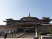 A Serene Hall Built by Past and Present: A Modern Natural History Created for a Pagoda