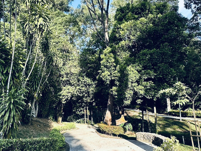 「一座城市的綠肺,是旅人最自然的休憩所。」 「一座城市的綠肺,是旅人最自然的休憩所。」