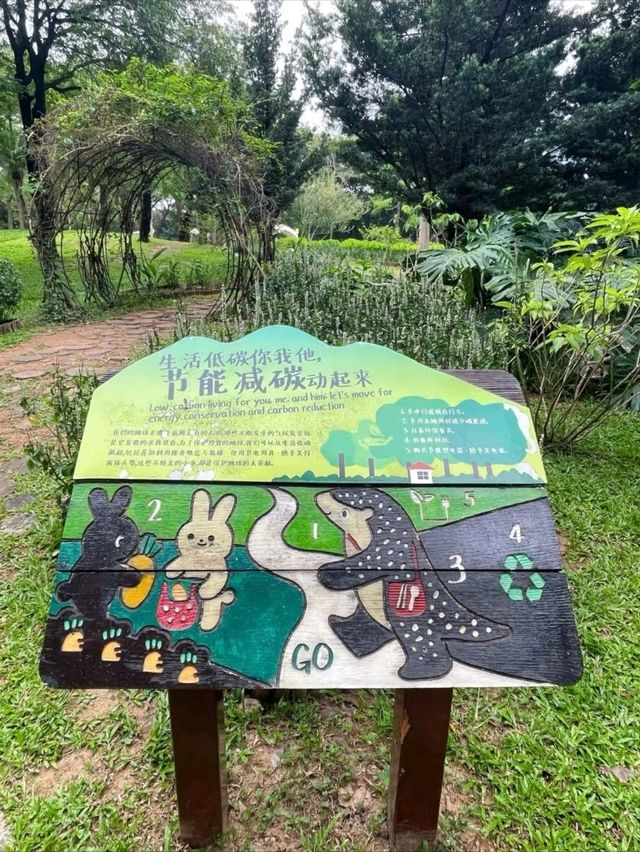Bijia Mountain Park: Shenzhen's Urban Green Peak Bijia Mountain Park: Shenzhen's Urban Green Peak