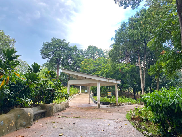 Dipterocarp Walk at The Canopy, Taman Botani Putrajaya – A Nature Escape Above the Trees