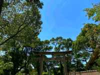 Tsurugaoka Hachimangu – The Spiritual Heart of Kamakura ⛩️