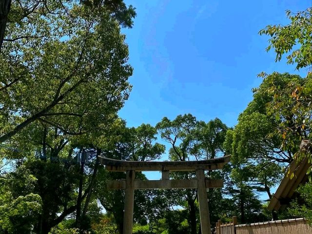 Tsurugaoka Hachimangu – The Spiritual Heart of Kamakura ⛩️