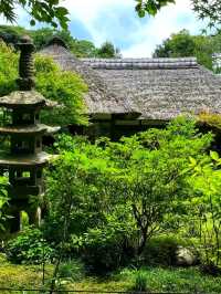 Jōchi-ji – A Hidden Zen Gem in Kamakura 🌸