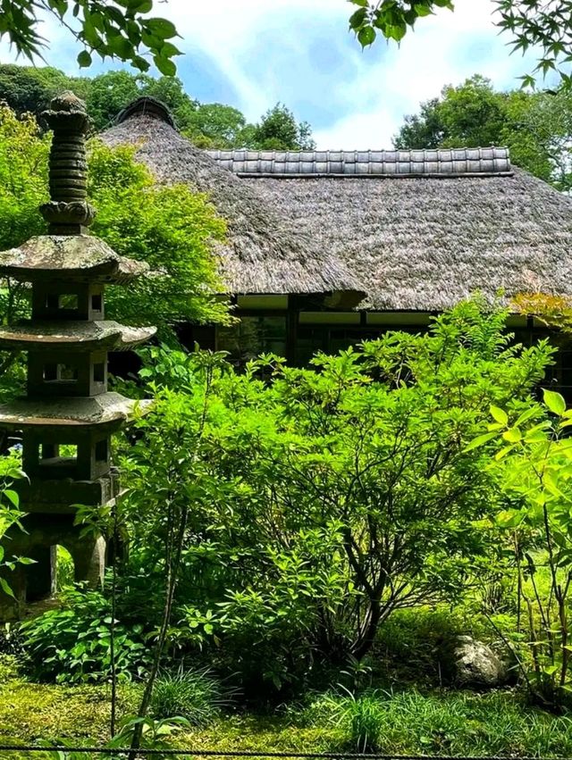 Jōchi-ji – A Hidden Zen Gem in Kamakura 🌸