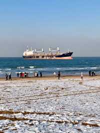 ❄️ Weihai in Winter Guide 🩵🌊✨