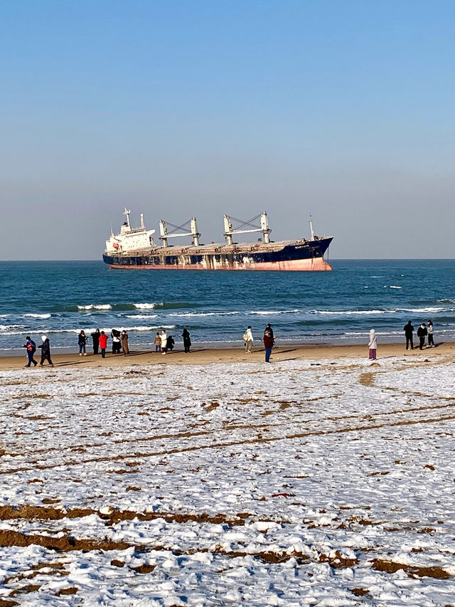❄️ Weihai in Winter Guide 🩵🌊✨