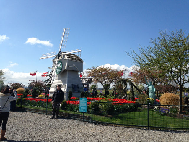 Skagit Valley Tulip Farm